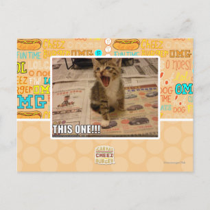 This one! postcard
