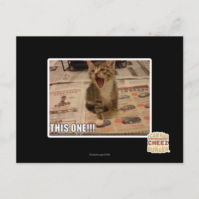 This one! postcard (Front)