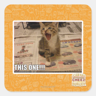 This one! square sticker