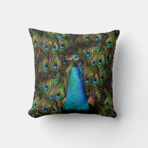 This peacock is watching you! cushion