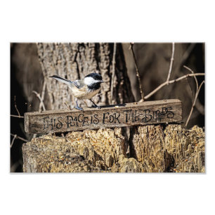 This Place is for the Birds Photo Print