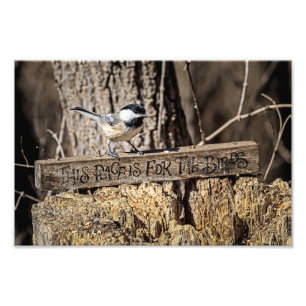 This Place is for the Birds Photo Print