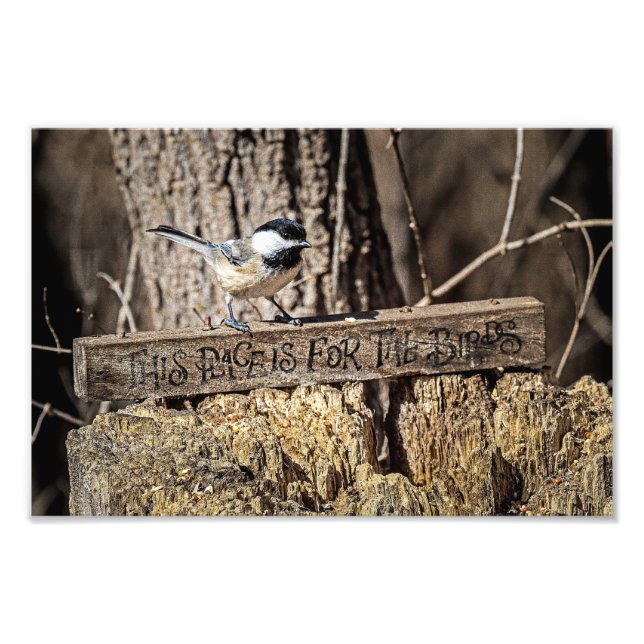 This Place is for the Birds Photo Print (Front)