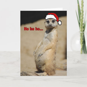 This Pregnant Meerkat Santa Momma Holiday Card