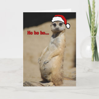 This Pregnant Meerkat Santa Momma Holiday Card