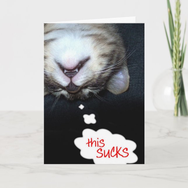 This Sucks! Get Well Kitty Card (Front)