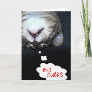 This Sucks! Get Well Kitty Card