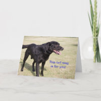 This tail wag is for you. Black Lab Card