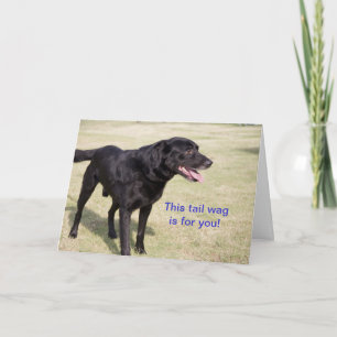 This tail wag is for you.  Black Lab Card