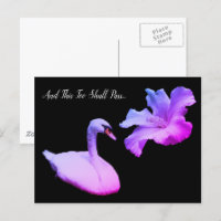 This Too Shall Pass Swan Colour Inspirational