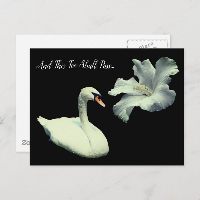 This Too Shall Pass Swan Inspirational  Postcard (Front/Back)