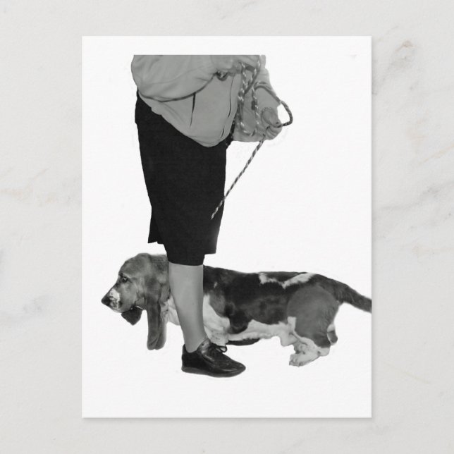 This Way-That Way Postcard (Front)