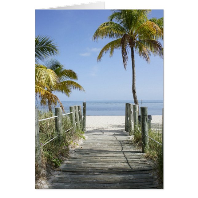 This way to Paradise (Front)
