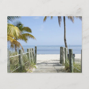 This way to Paradise Postcard