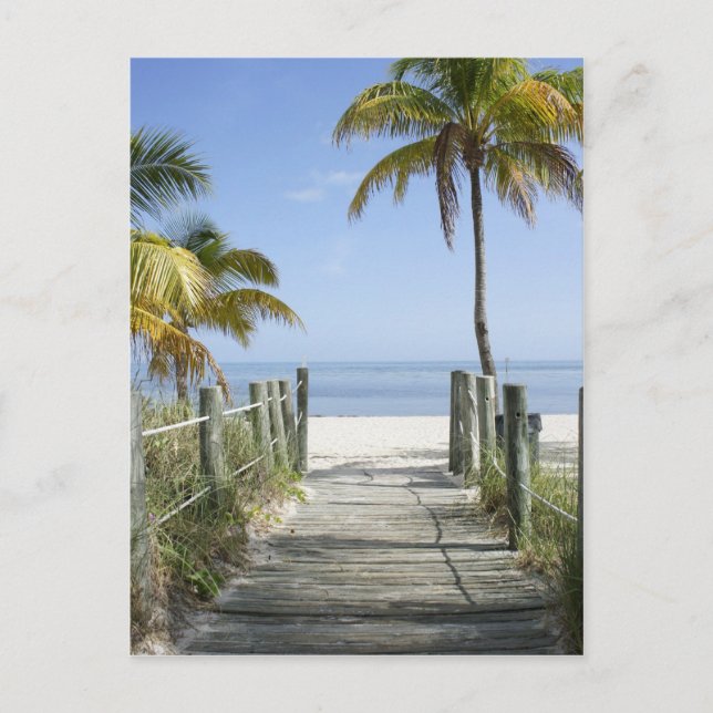 This way to Paradise Postcard (Front)