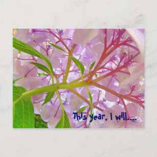 This year, I will... postcards Pink Hydrangeas