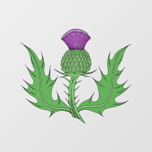 Thistle
