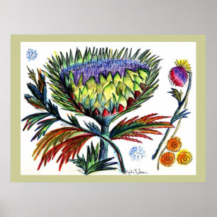 Thistle42 Drawing Poster