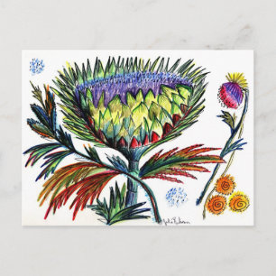 Thistle 42 postcard