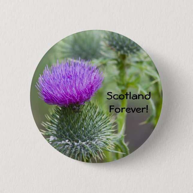 Thistle 6 Cm Round Badge (Front)