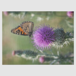 Thistle and Butterfly Print Tissue Paper