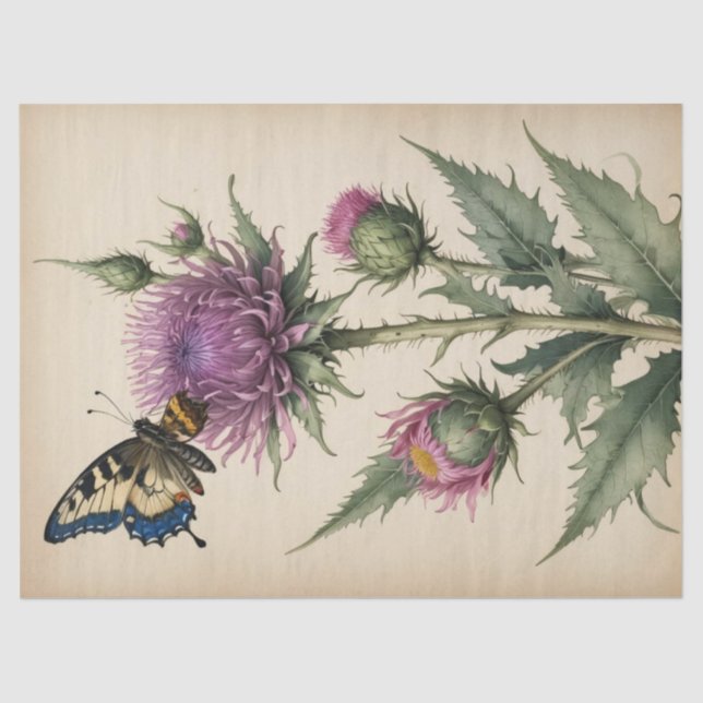 Thistle and Butterfly Print Tissue Paper (Front)