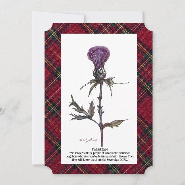 thistle and plaid (Front)
