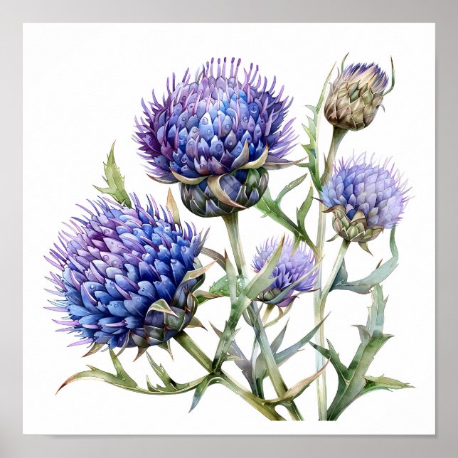 Thistle Art Print, Wildflowers Poster (Front)