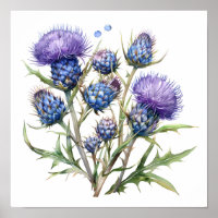 Thistle Art Print, Wildflowers Poster