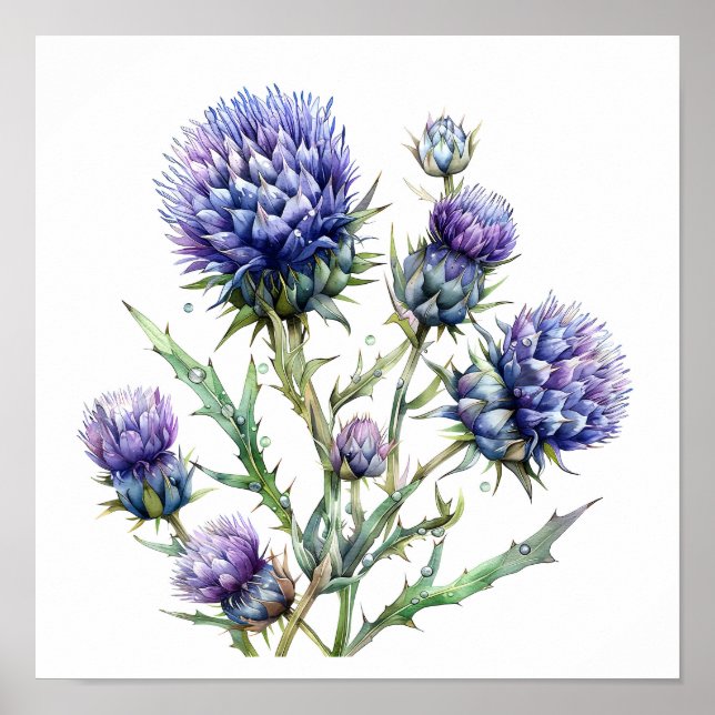 Thistle Art Print, Wildflowers Poster (Front)