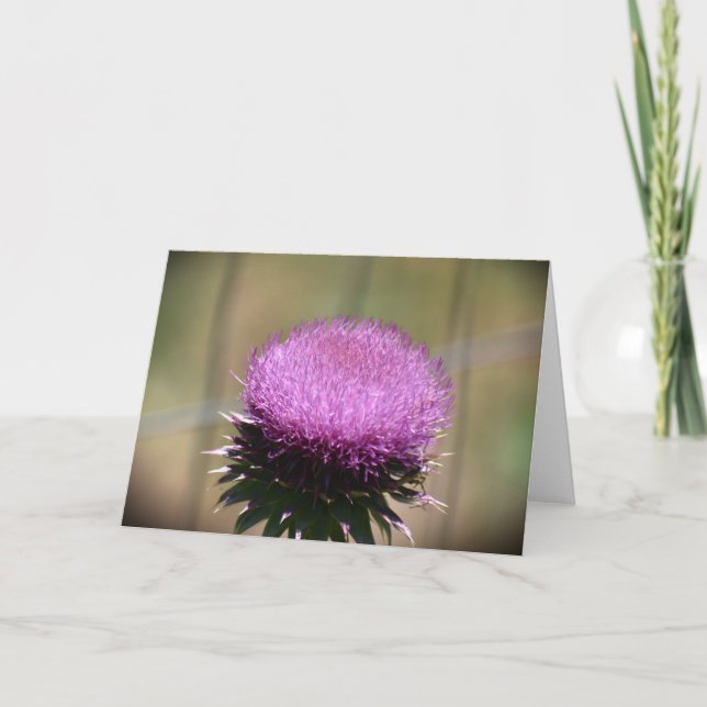 Thistle, card (Front)