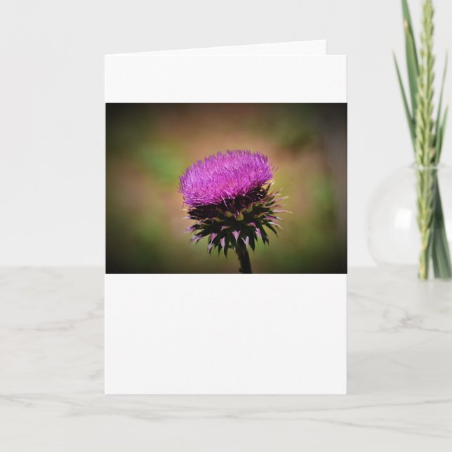 Thistle, card (Front)