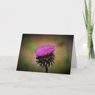 Thistle, card