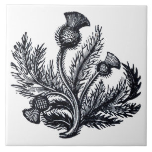 Thistle Ceramic Tile