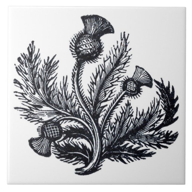 Thistle Ceramic Tile (Front)