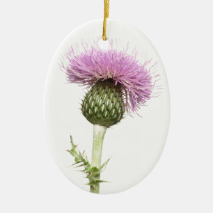 Thistle Ceramic Tree Decoration