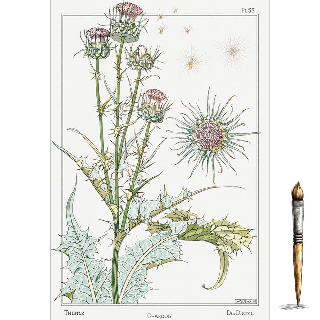 Thistle, Eugene Grasset's Botany Series Tissue Paper (Creator Uploaded)