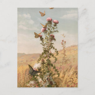 Thistle Fidelia Bridges Postcard