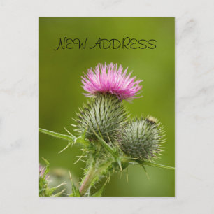Thistle Flower New Address Card