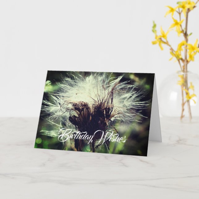 Thistle Fluff Flower Customisable Birthday  Card (Yellow Flower)