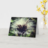 Thistle Fluff Flower Customisable Birthday