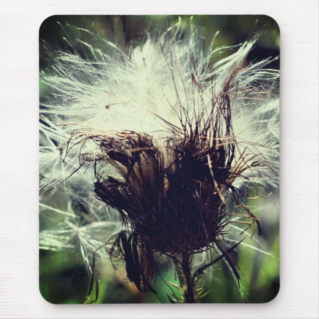 Thistle Fluff Flower Nature  Mouse Pad (Front)