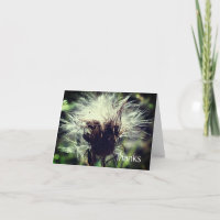 Thistle Fluff Flower Thank You Card