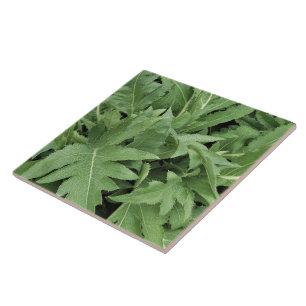 Thistle Foliage Ceramic Tile