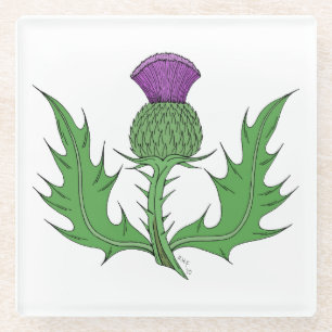 Thistle Glass Coaster