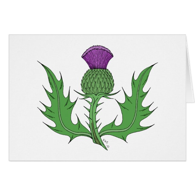 Thistle Greeting Card (Front Horizontal)