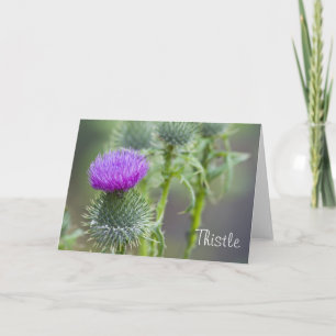 Thistle Greeting Card