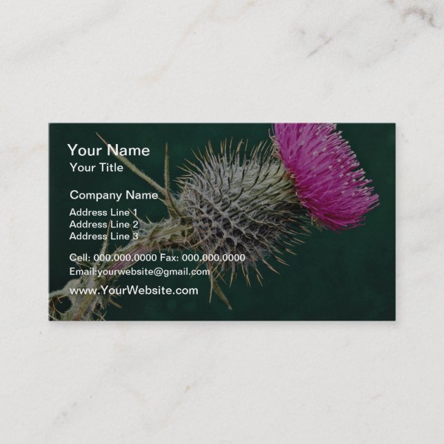 Thistle head  flowers business card (Front)