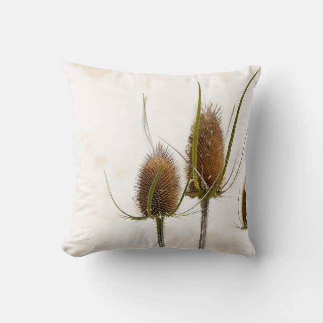 thistle head on abstract cushion (Front)
