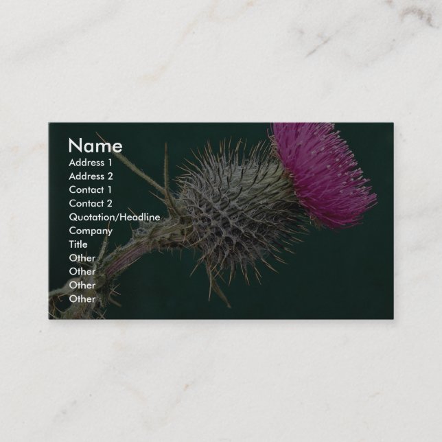 Thistle head pink flower business card (Front)